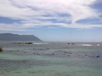 Secret Beach Waters Edge Cape Town